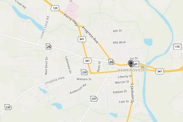 Hawkinsville, GA